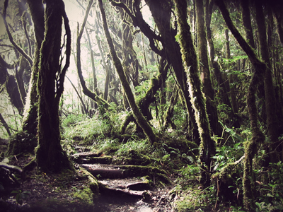 just follow the path just follow the path